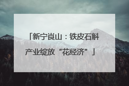 新宁崀山：铁皮石斛产业绽放“花经济”