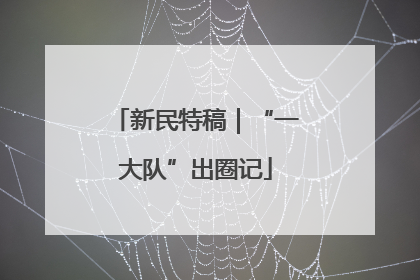 新民特稿｜“一大队”出圈记