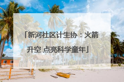 新河社区计生协：火箭升空 点亮科学童年