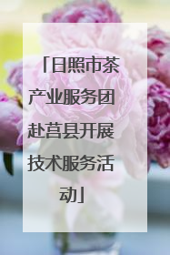 日照市茶产业服务团赴莒县开展技术服务活动