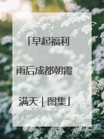 早起福利 雨后成都朝霞满天｜图集