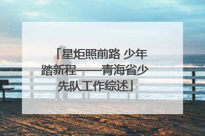 星炬照前路 少年踏新程——青海省少先队工作综述