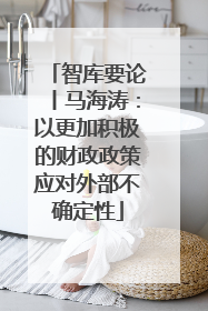 智库要论丨马海涛：以更加积极的财政政策应对外部不确定性