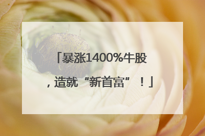 暴涨1400%牛股，造就“新首富”！