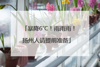 暴降6℃！雨雨雨！扬州人请提前准备