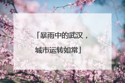 暴雨中的武汉，城市运转如常