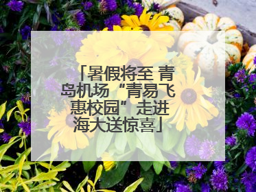 暑假将至 青岛机场“青易飞 惠校园”走进海大送惊喜