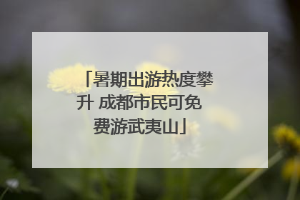 暑期出游热度攀升 成都市民可免费游武夷山