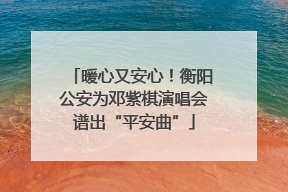 暖心又安心！衡阳公安为邓紫棋演唱会谱出“平安曲”