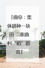曲阜：集体耕种一块田 二张曲村“稻”路宽