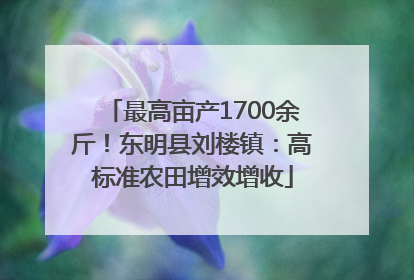 最高亩产1700余斤！东明县刘楼镇：高标准农田增效增收