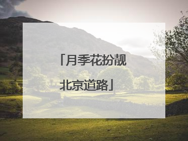 月季花扮靓北京道路