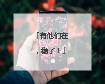 有他们在，稳了！