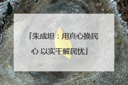 朱成坦：用真心换民心 以实干解民忧