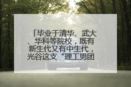 毕业于清华、武大、华科等院校，既有新生代又有中生代，光谷这支“理工男团”为何“出道”？