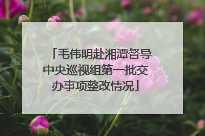 毛伟明赴湘潭督导中央巡视组第一批交办事项整改情况