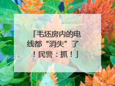 毛坯房内的电线都“消失”了！民警：抓！