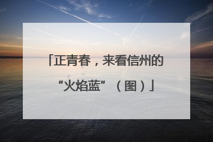 正青春，来看信州的“火焰蓝”（图）