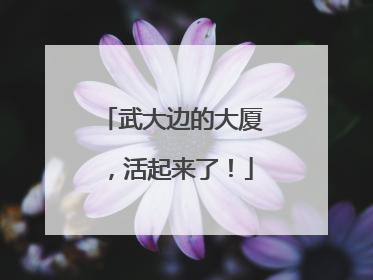 武大边的大厦，活起来了！