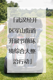 武汉经开区军山街道开展节前环境综合大整治行动
