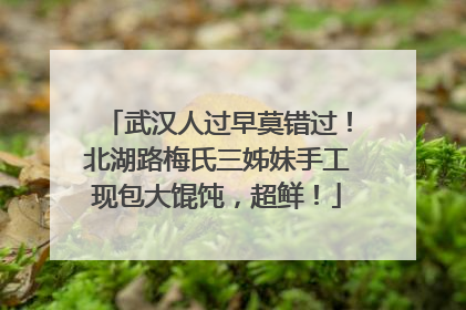 武汉人过早莫错过！北湖路梅氏三姊妹手工现包大馄饨，超鲜！