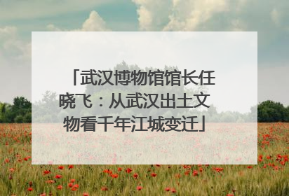 武汉博物馆馆长任晓飞：从武汉出土文物看千年江城变迁