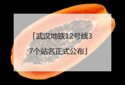 武汉地铁12号线37个站名正式公布