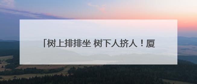 树上排排坐 树下人挤人！厦大校园来了一窝猫头鹰引围观
