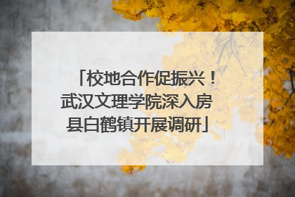 校地合作促振兴！武汉文理学院深入房县白鹤镇开展调研