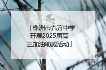 株洲市九方中学开展2025届高三加油助威活动