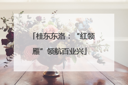 桂东东洛：“红领雁”领航百业兴