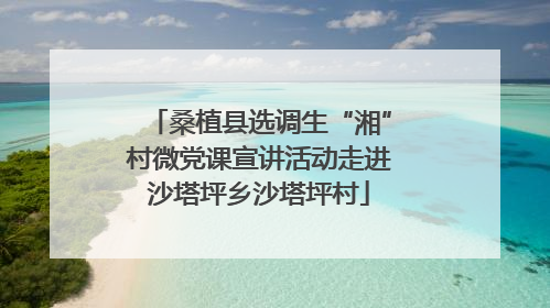 桑植县选调生“湘”村微党课宣讲活动走进沙塔坪乡沙塔坪村