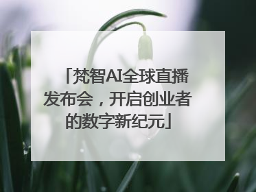梵智AI全球直播发布会，开启创业者的数字新纪元