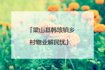 梁山县韩垓镇乡村物业解民忧