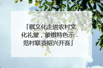 棋文化走进农村文化礼堂，象棋特色示范村联赛绍兴开赛