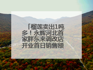 榴莲卖出1吨多！永辉河北首家胖东来调改店开业首日销售额同比增10倍
