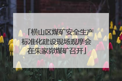 横山区煤矿安全生产标准化建设现场观摩会在朱家峁煤矿召开