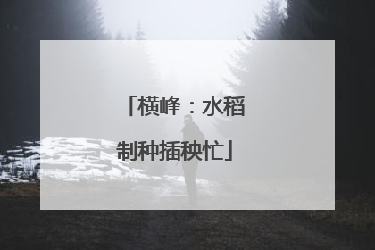横峰：水稻制种插秧忙