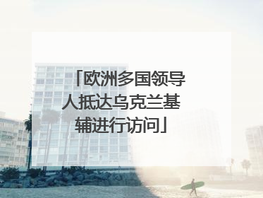 欧洲多国领导人抵达乌克兰基辅进行访问