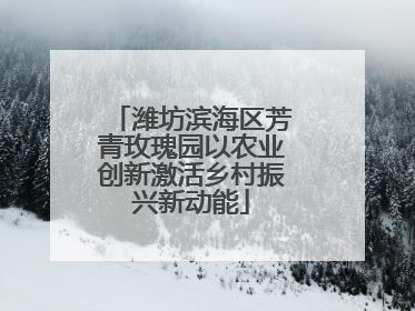 潍坊滨海区芳青玫瑰园以农业创新激活乡村振兴新动能