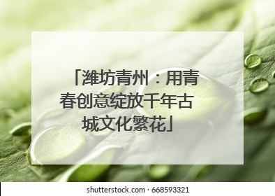 潍坊青州：用青春创意绽放千年古城文化繁花