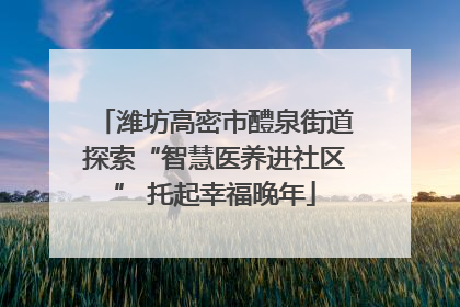 潍坊高密市醴泉街道探索“智慧医养进社区” 托起幸福晚年