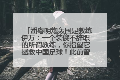 潘粤明炮轰国足教练伊万：一个装傻不辞职的所谓教练，你指望它拯救中国足球！此前曾多次发文评价国足