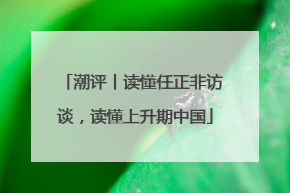 潮评丨读懂任正非访谈，读懂上升期中国