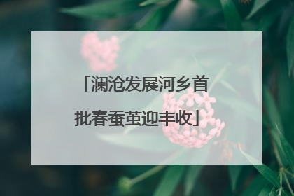 澜沧发展河乡首批春蚕茧迎丰收