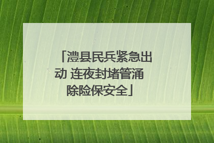 澧县民兵紧急出动 连夜封堵管涌除险保安全