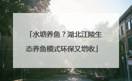 水塘养鱼？湖北江陵生态养鱼模式环保又增收