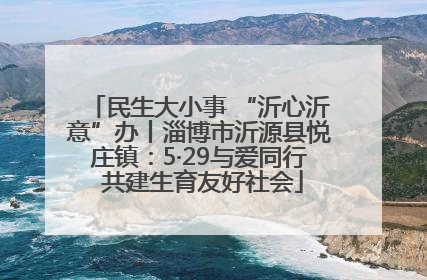 民生大小事 “沂心沂意”办丨淄博市沂源县悦庄镇：5·29与爱同行 共建生育友好社会