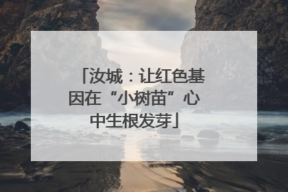 汝城：让红色基因在“小树苗”心中生根发芽