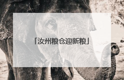 汝州粮仓迎新粮